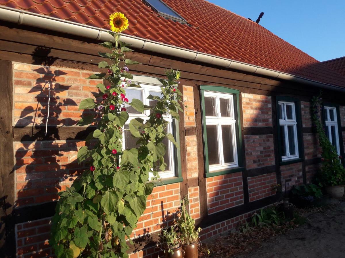 Pension up´n Dörp Plattenburg Exterior foto